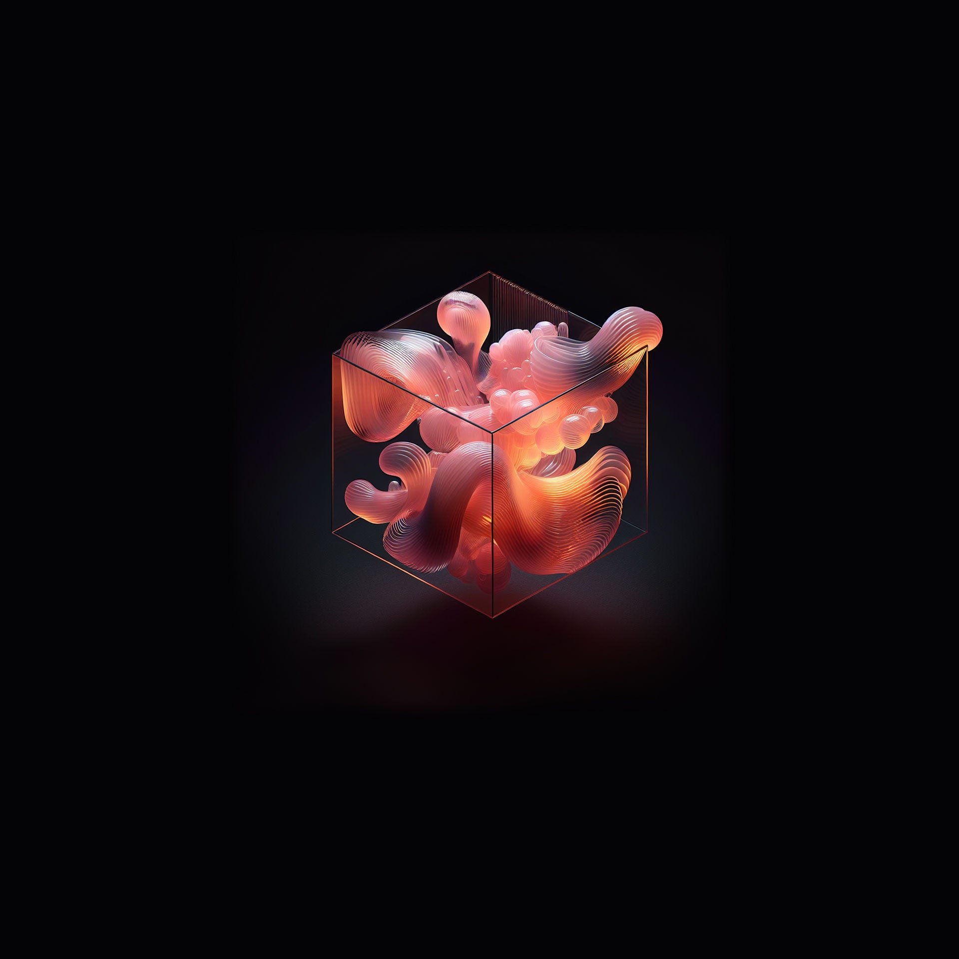 AI inspired box